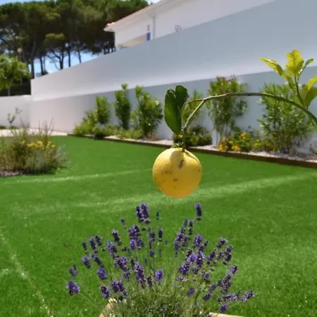 Neue Moderne Mit Privatem Pool By Interhome Holiday home Famalicao